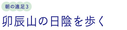 朝の遠足3/卯辰山の日陰を歩く