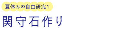 夏休みの自由研究1/関守石作り